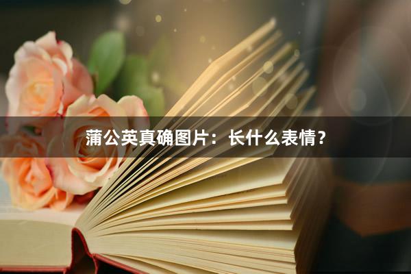 蒲公英真确图片：长什么表情？