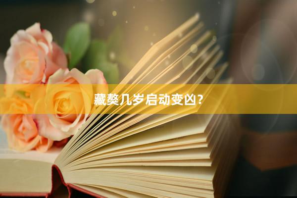 藏獒几岁启动变凶？