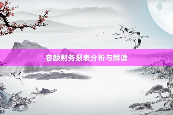 容颜财务报表分析与解读